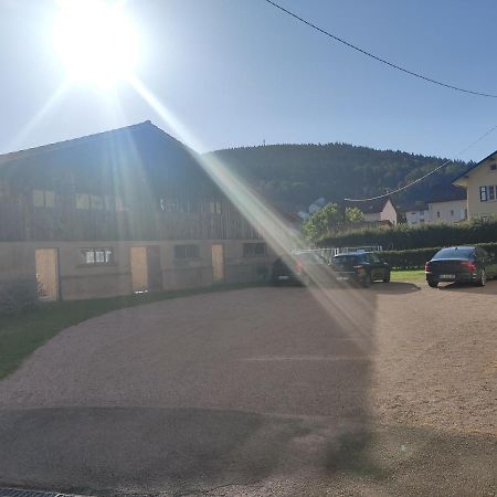 Le Cozy Nest Lägenhet Gérardmer Exteriör bild